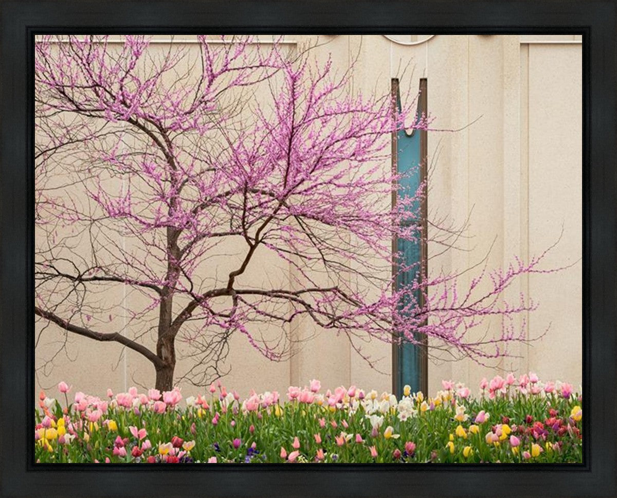 Jordan River Awakening Gallery Wrap