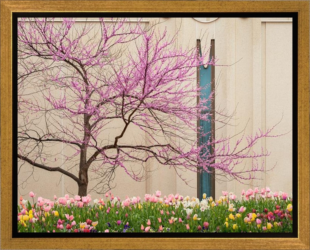 Jordan River Awakening Gallery Wrap