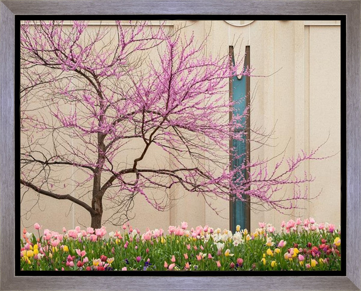 Jordan River Awakening Gallery Wrap