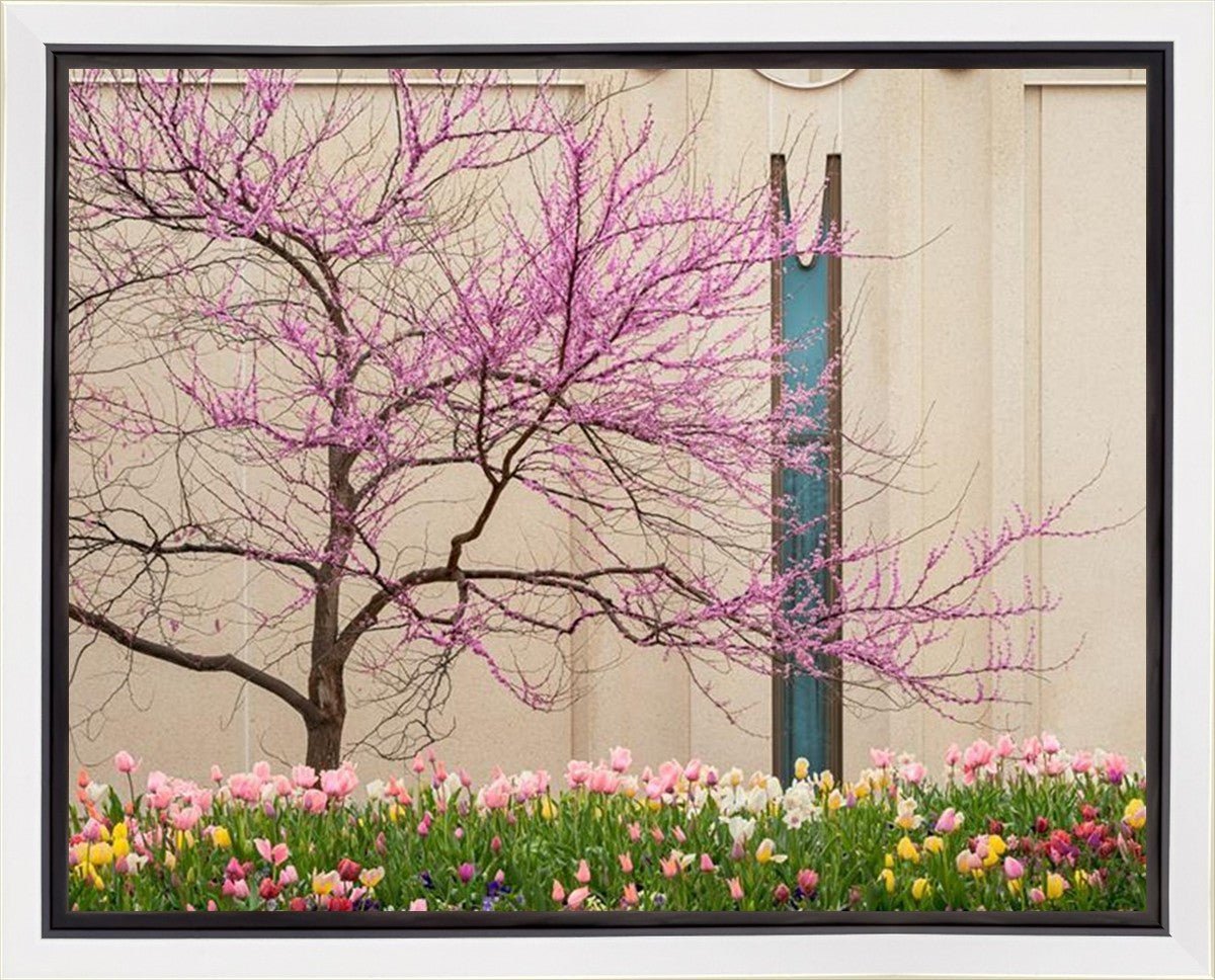 Jordan River Awakening Gallery Wrap