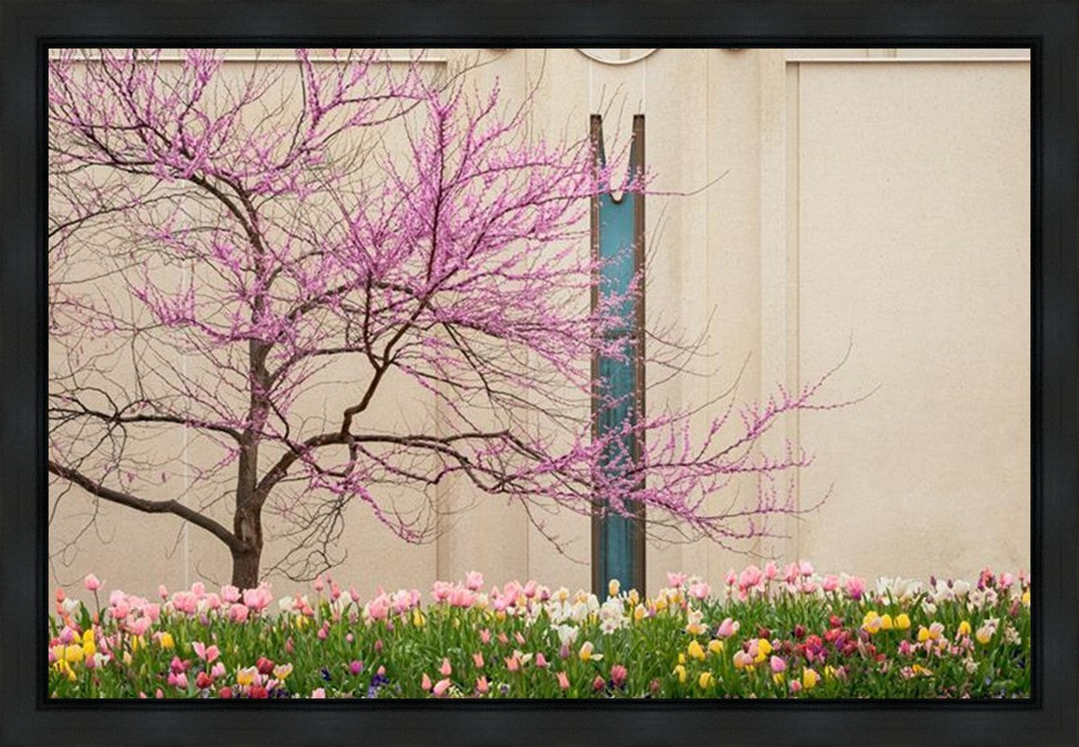 Jordan River Awakening Gallery Wrap