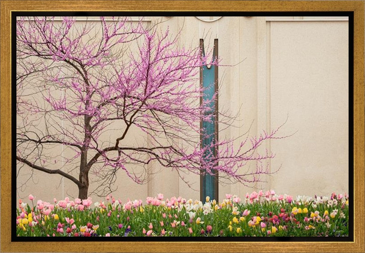 Jordan River Awakening Gallery Wrap