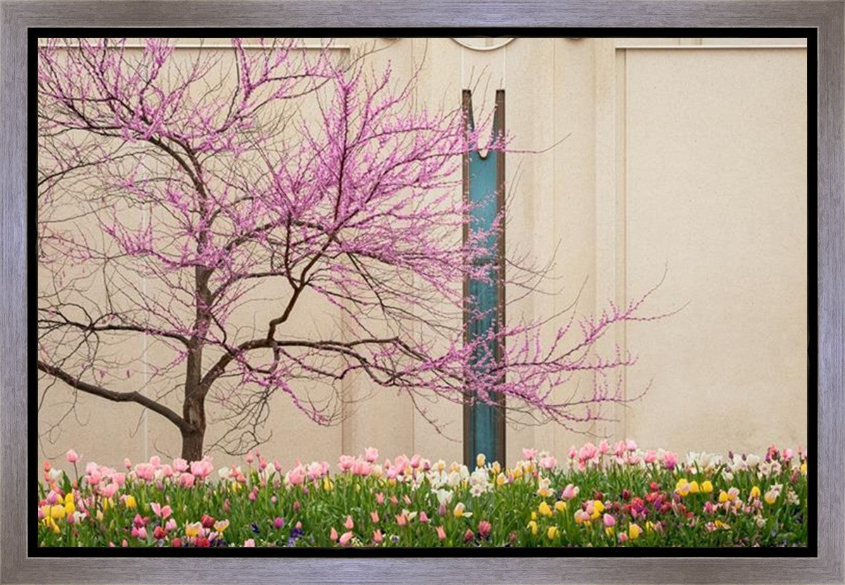 Jordan River Awakening Gallery Wrap