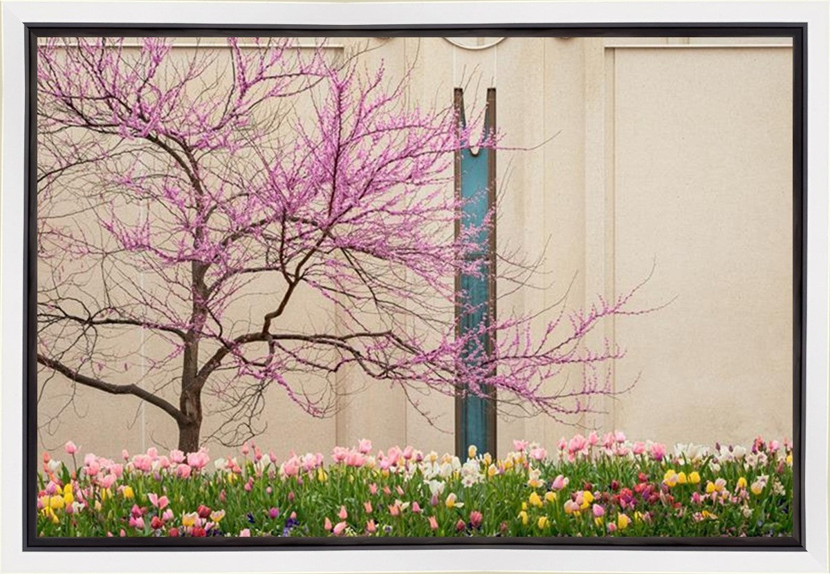 Jordan River Awakening Gallery Wrap