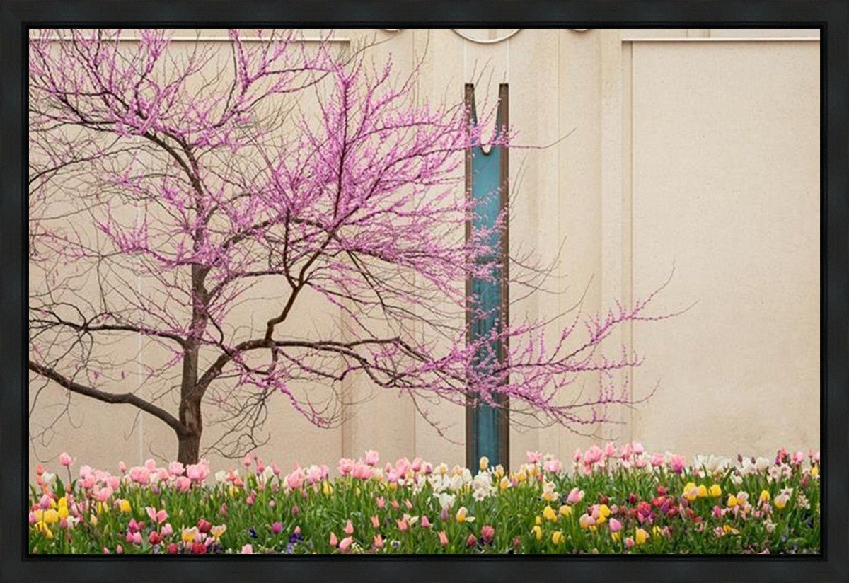 Jordan River Awakening Gallery Wrap