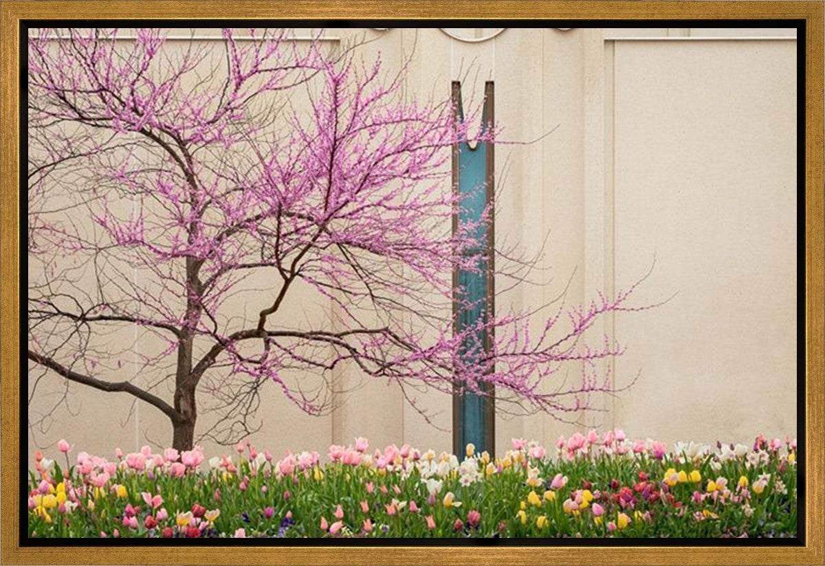 Jordan River Awakening Gallery Wrap