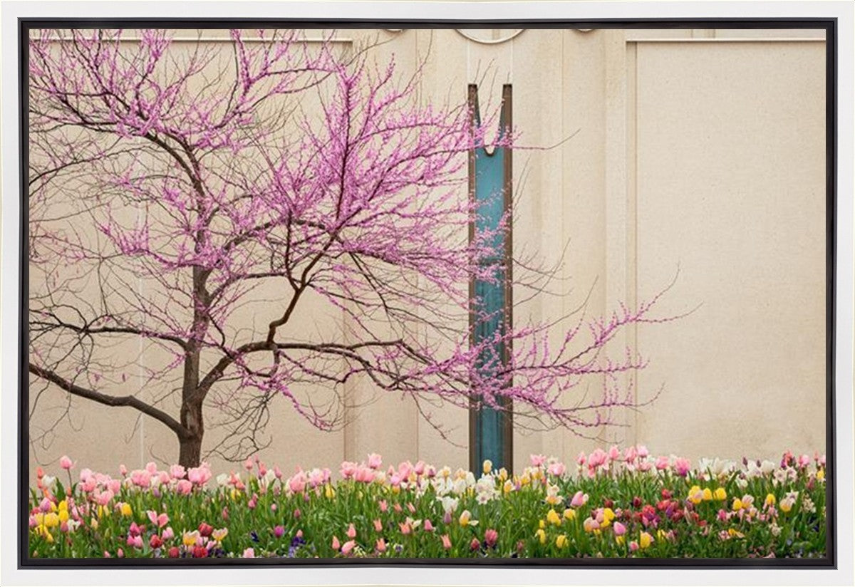 Jordan River Awakening Gallery Wrap