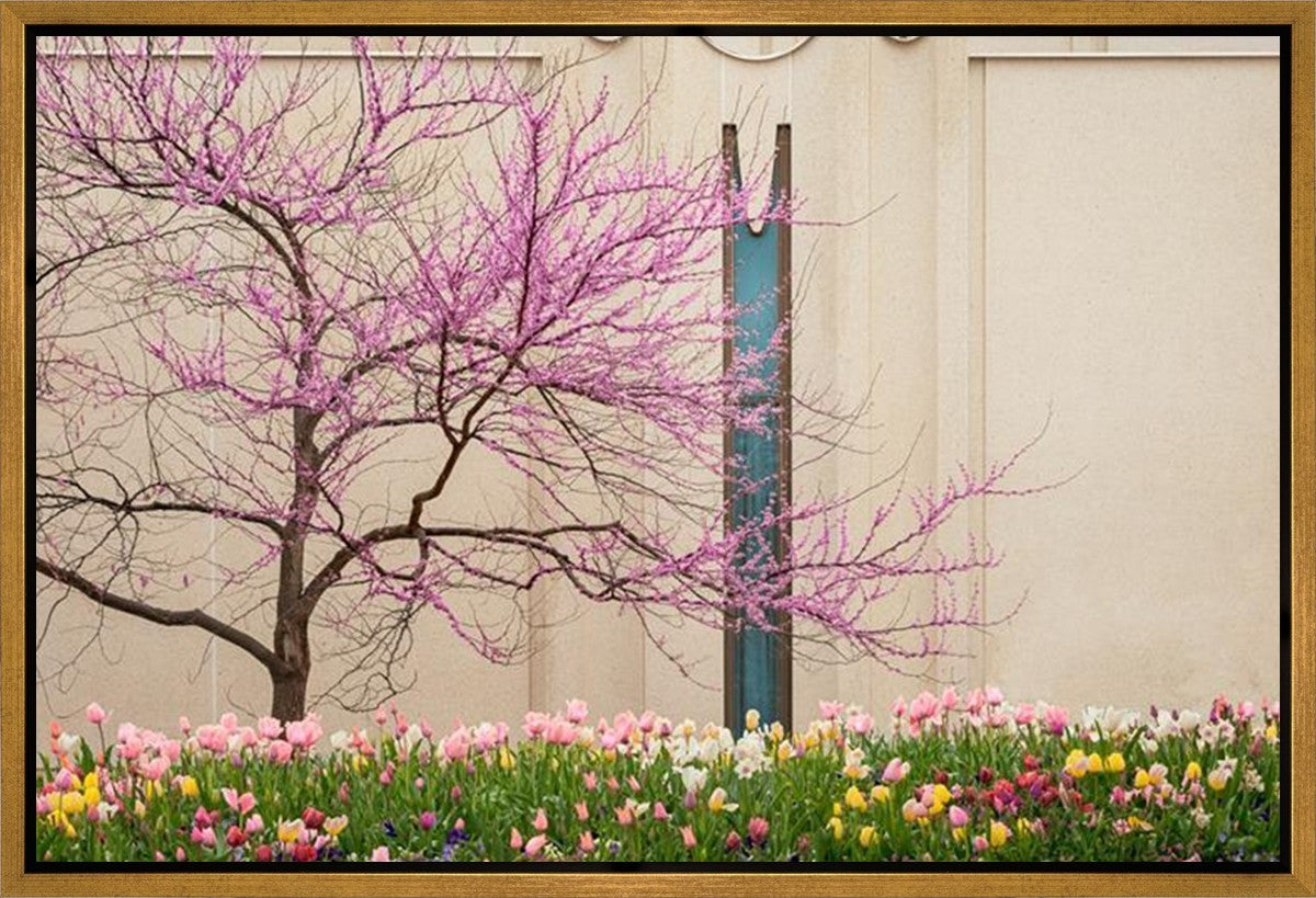 Jordan River Awakening Gallery Wrap