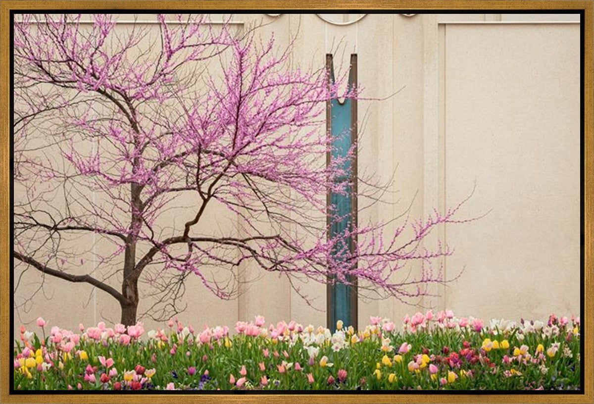 Jordan River Awakening Gallery Wrap