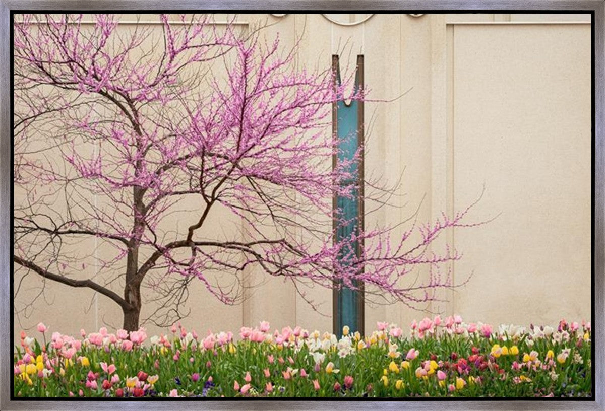 Jordan River Awakening Gallery Wrap