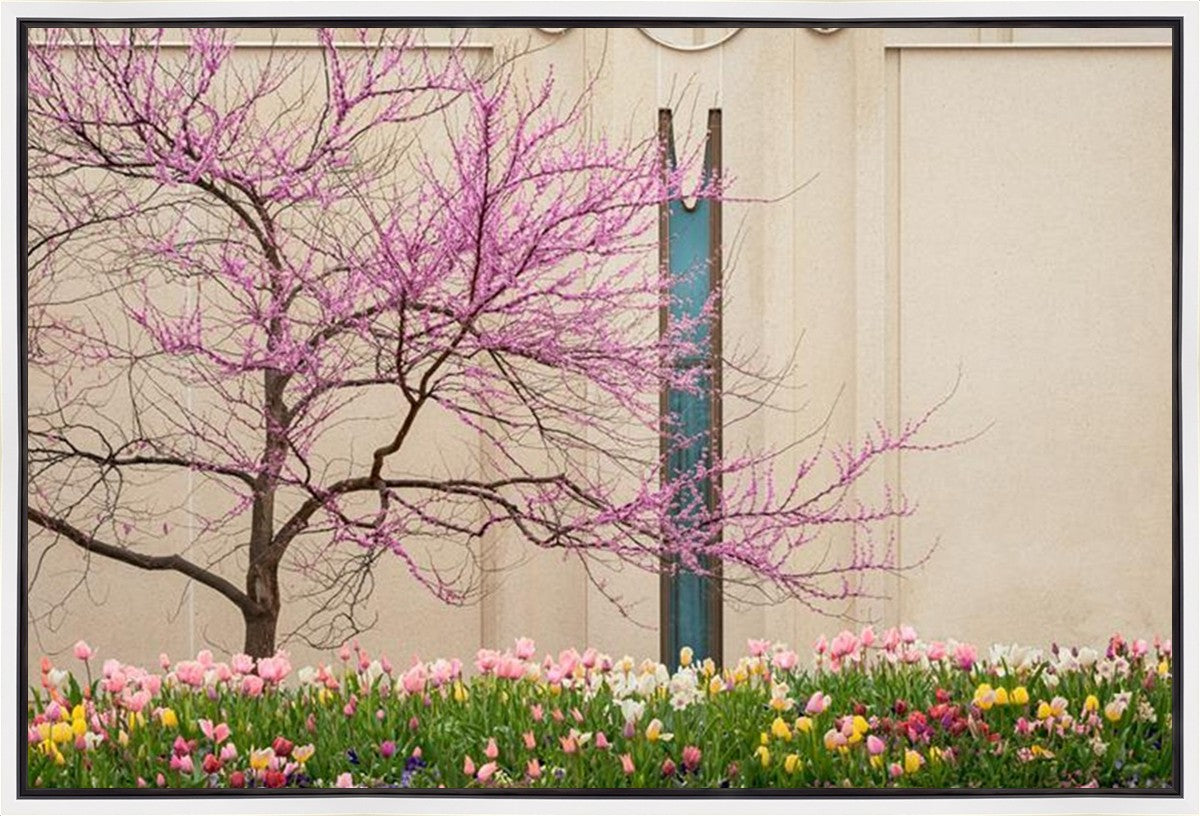 Jordan River Awakening Gallery Wrap