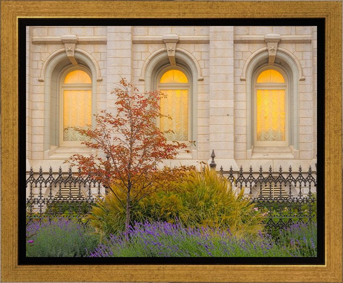 Salt Lake Autumn Detail Gallery Wrap