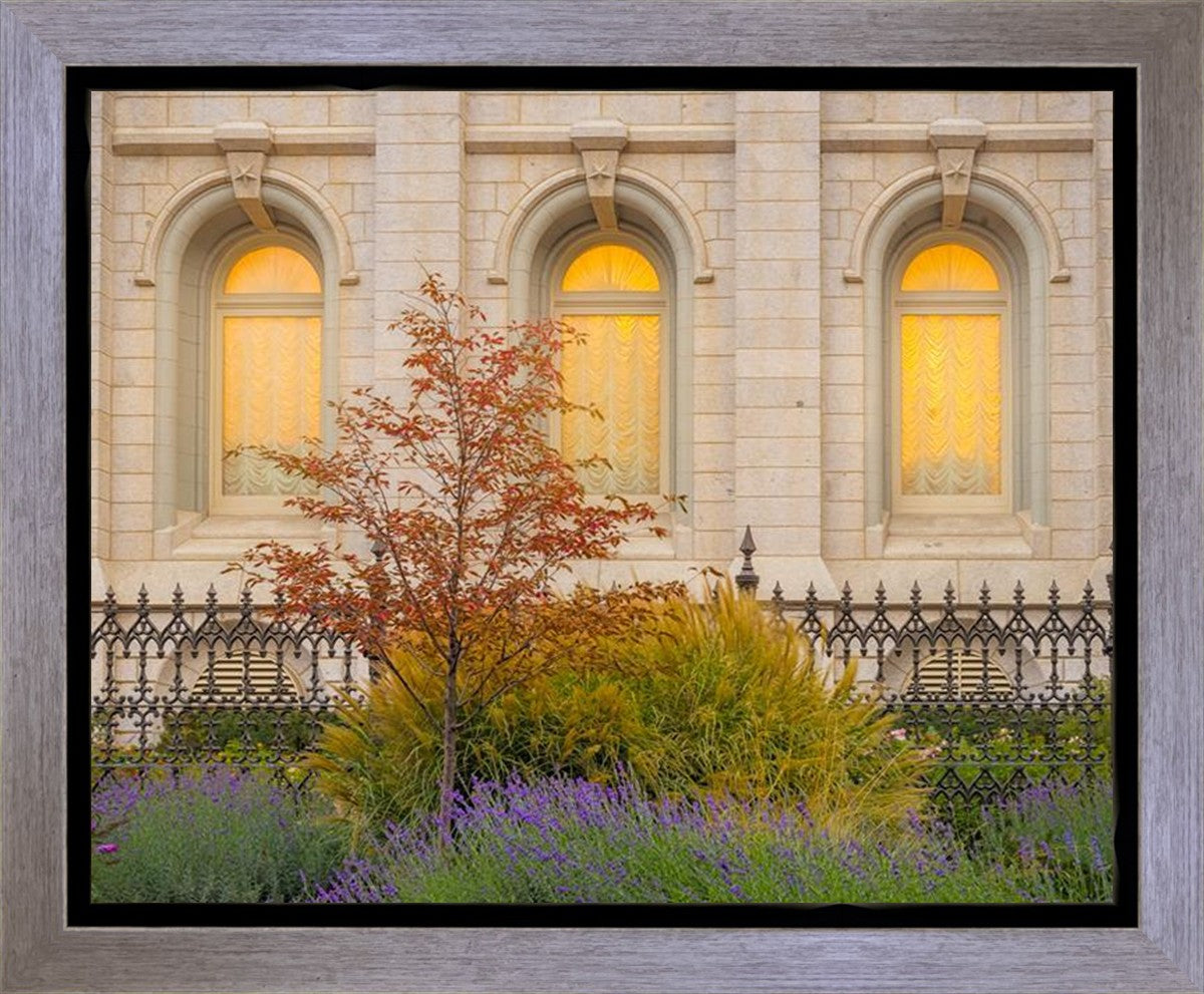 Salt Lake Autumn Detail Gallery Wrap