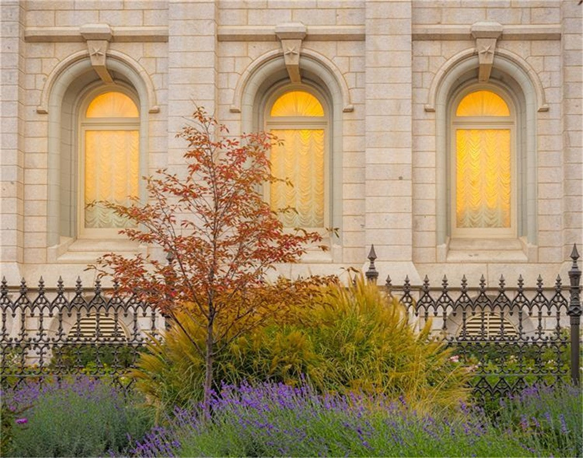 Salt Lake Autumn Detail Gallery Wrap