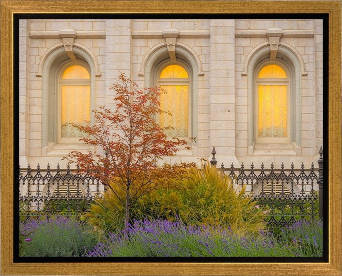 Salt Lake Autumn Detail Gallery Wrap