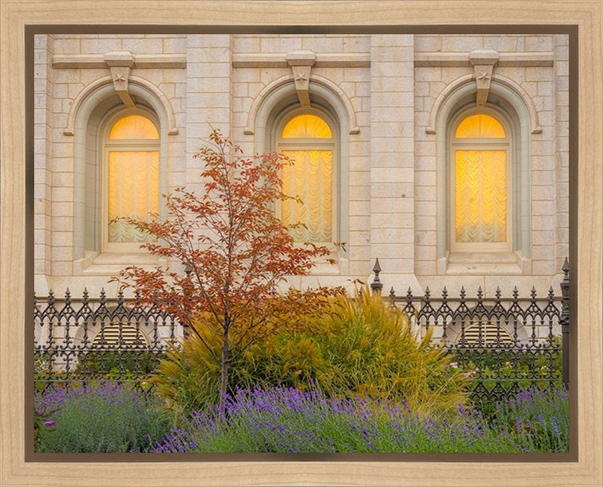Salt Lake Autumn Detail Gallery Wrap