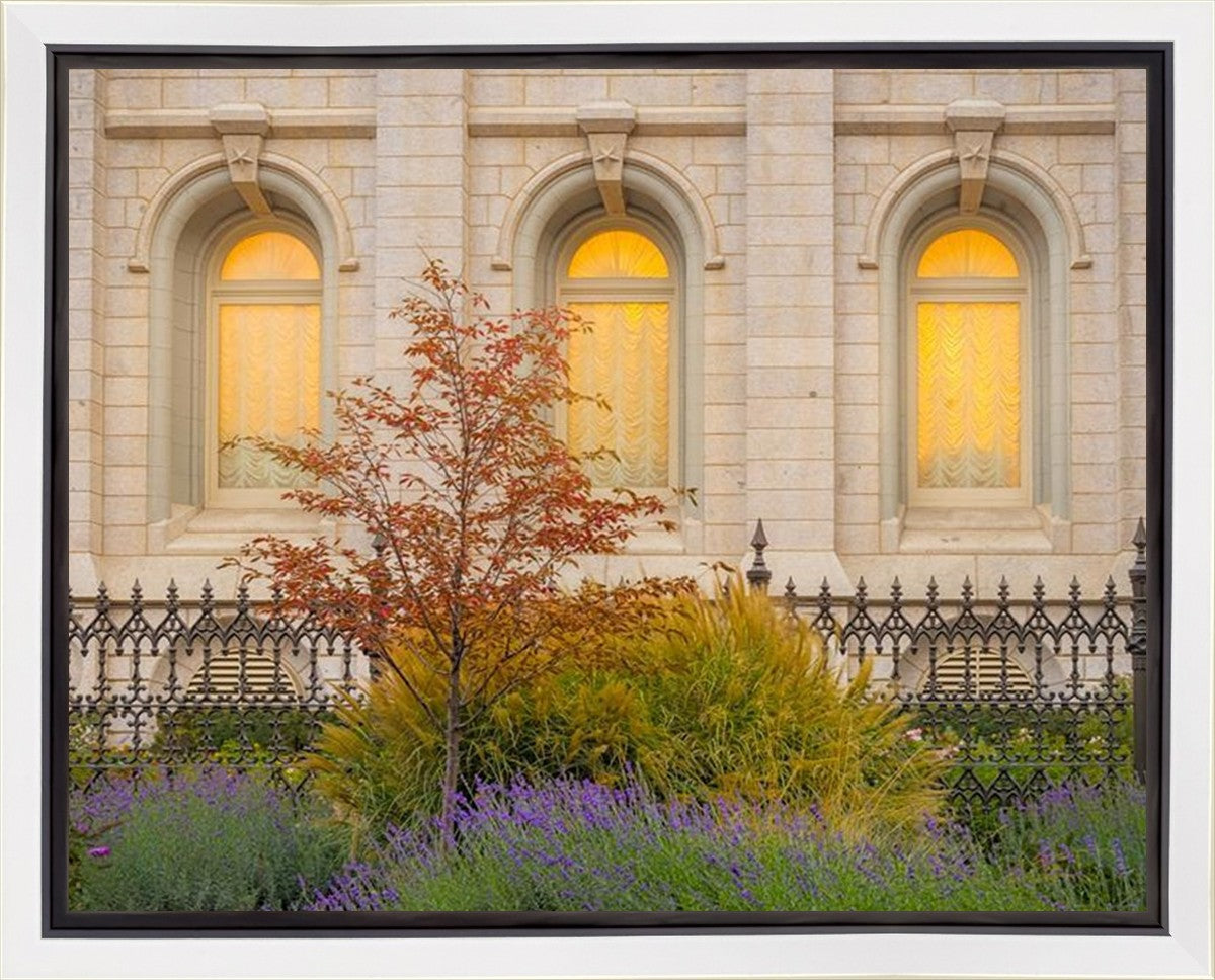 Salt Lake Autumn Detail Gallery Wrap