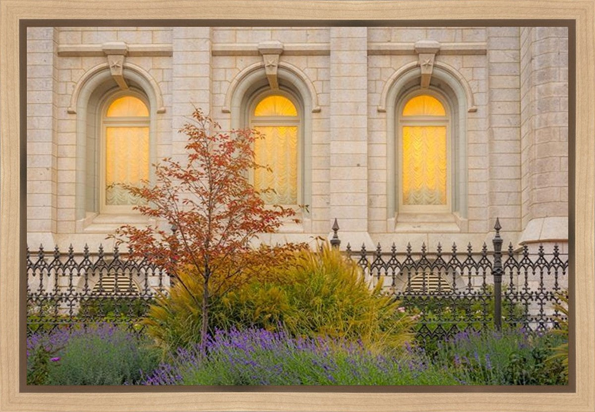 Salt Lake Autumn Detail Gallery Wrap