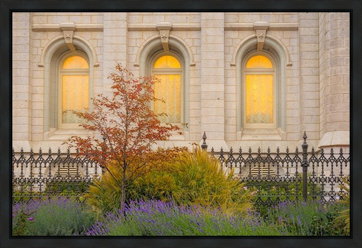Salt Lake Autumn Detail Gallery Wrap
