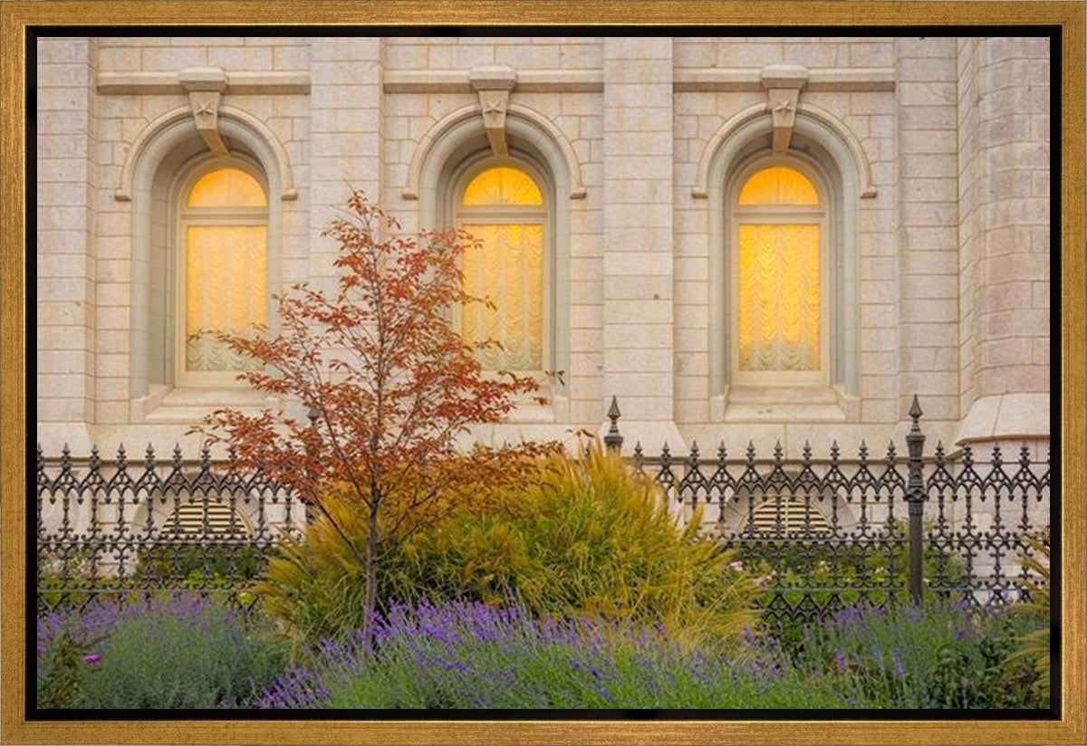 Salt Lake Autumn Detail Gallery Wrap