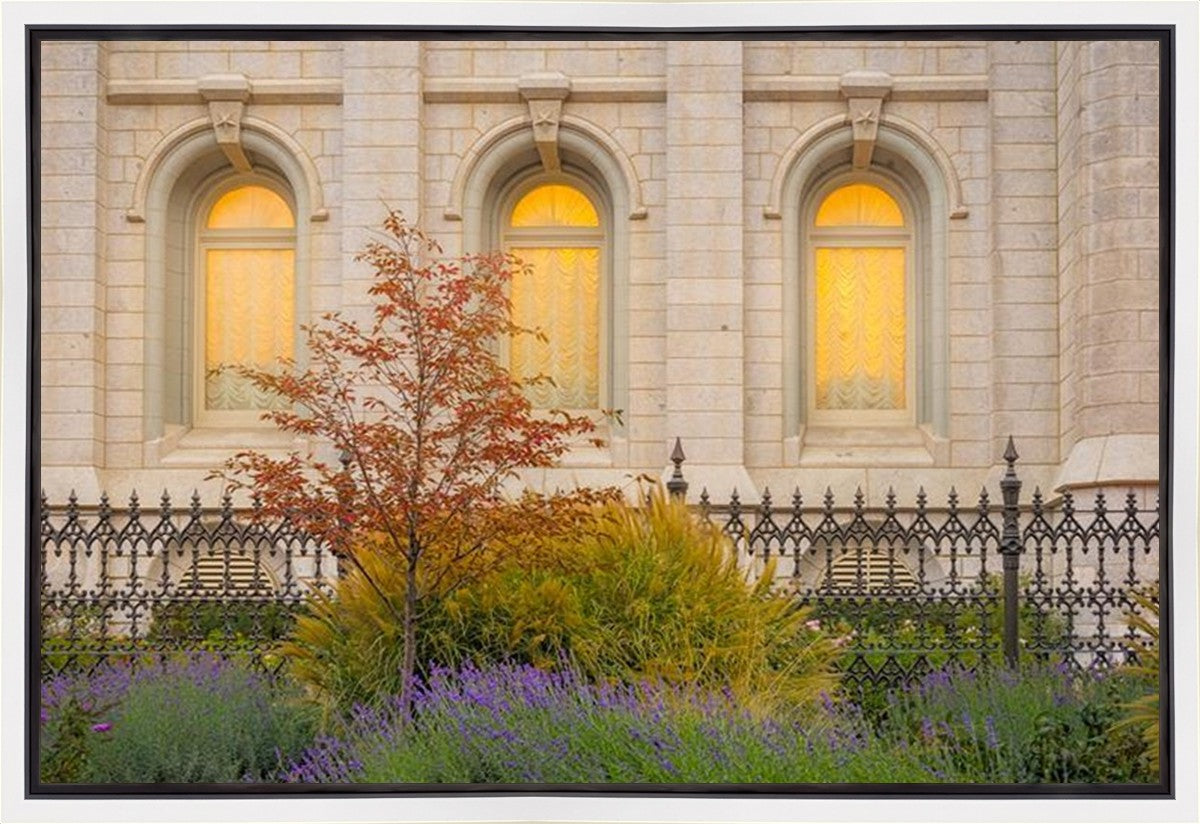 Salt Lake Autumn Detail Gallery Wrap