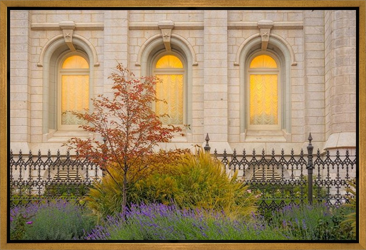 Salt Lake Autumn Detail Gallery Wrap