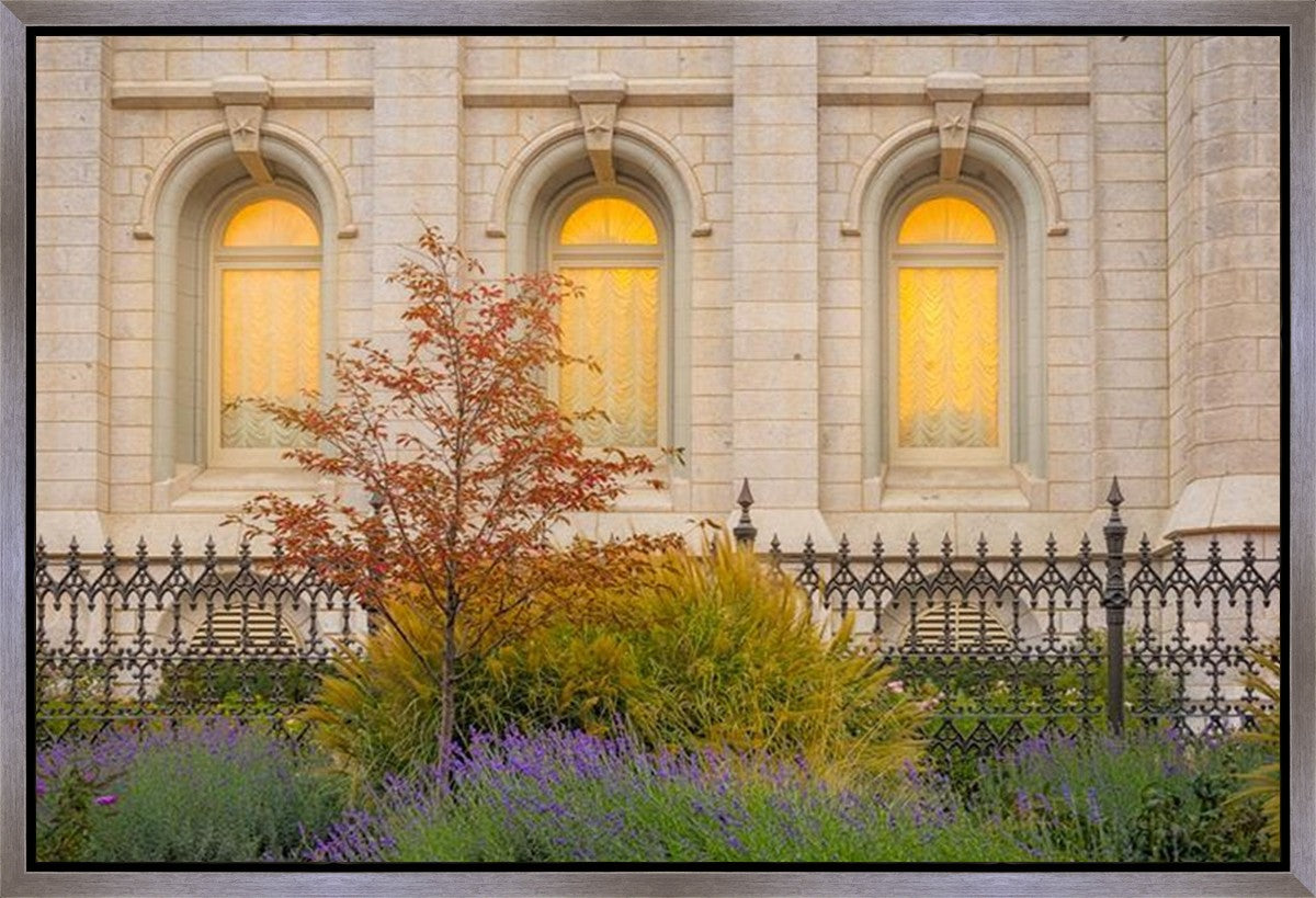 Salt Lake Autumn Detail Gallery Wrap