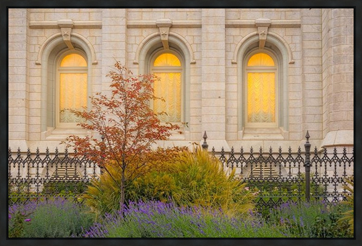 Salt Lake Autumn Detail Gallery Wrap