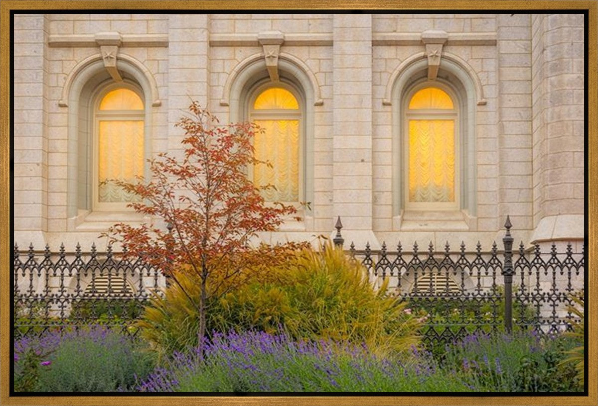 Salt Lake Autumn Detail Gallery Wrap