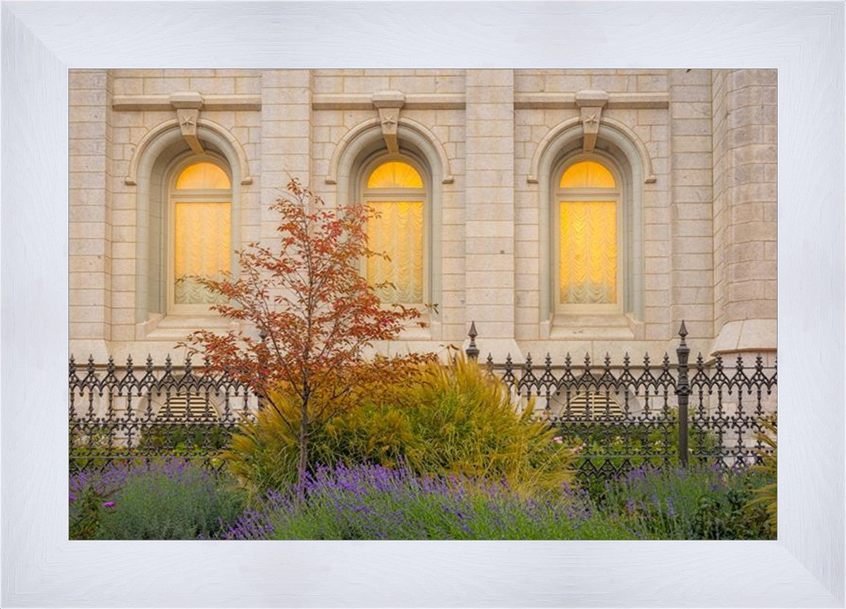 Salt Lake Autumn Detail