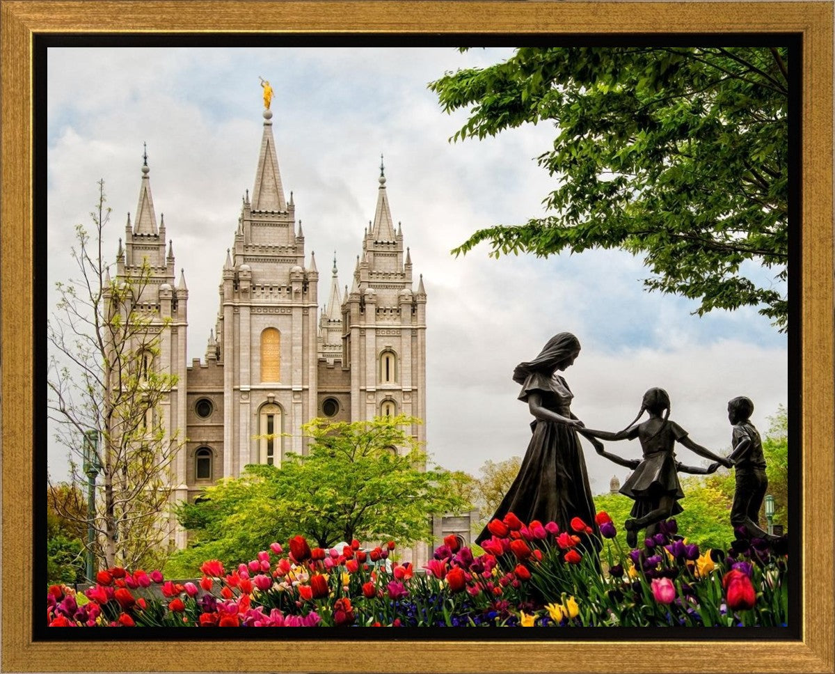Salt Lake Eternal Gallery Wrap
