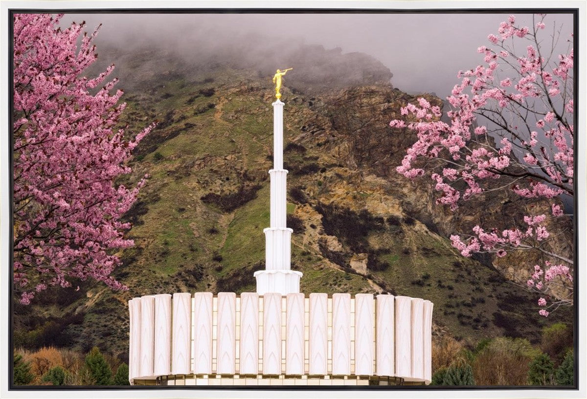 Provo Oncoming Storm Gallery Wrap