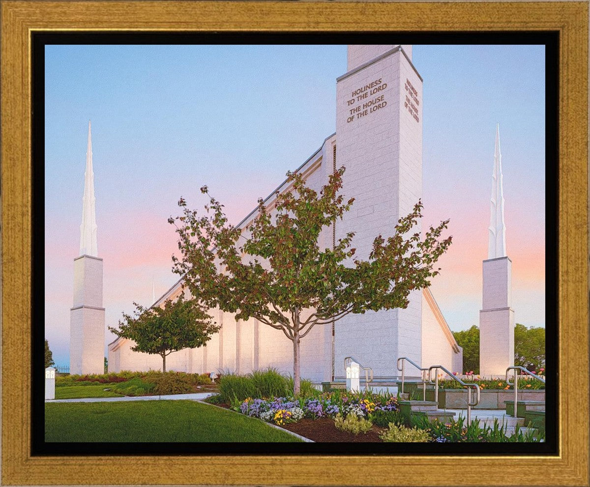 Boise Rustic Sunrise Gallery Wrap