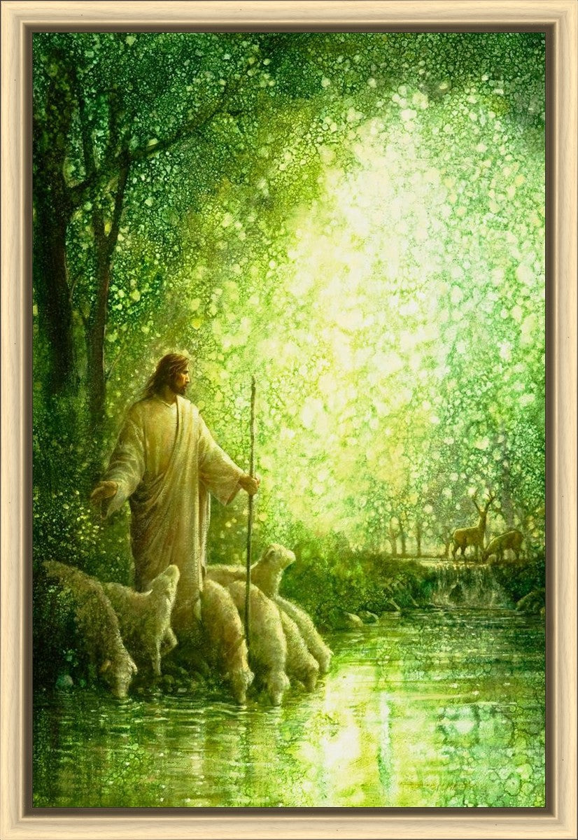 Feed My Sheep