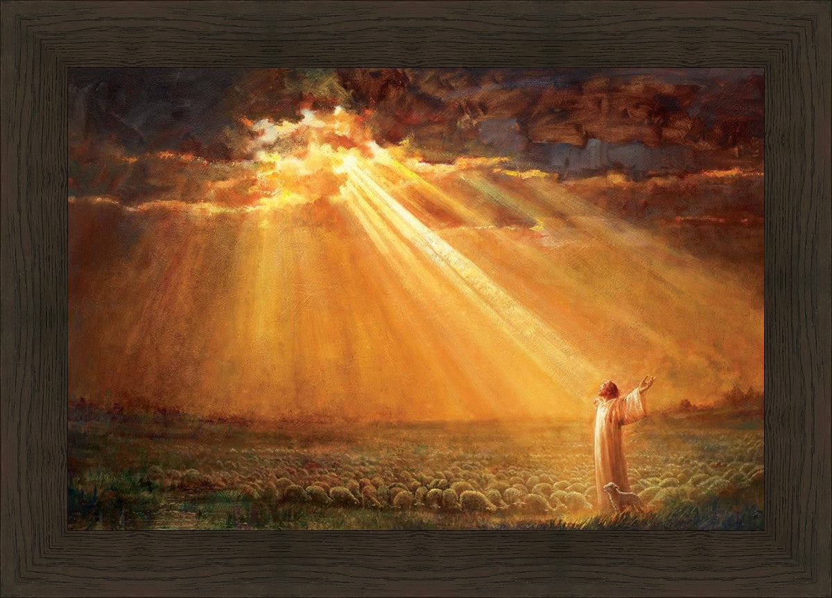 Rejoice in His Light