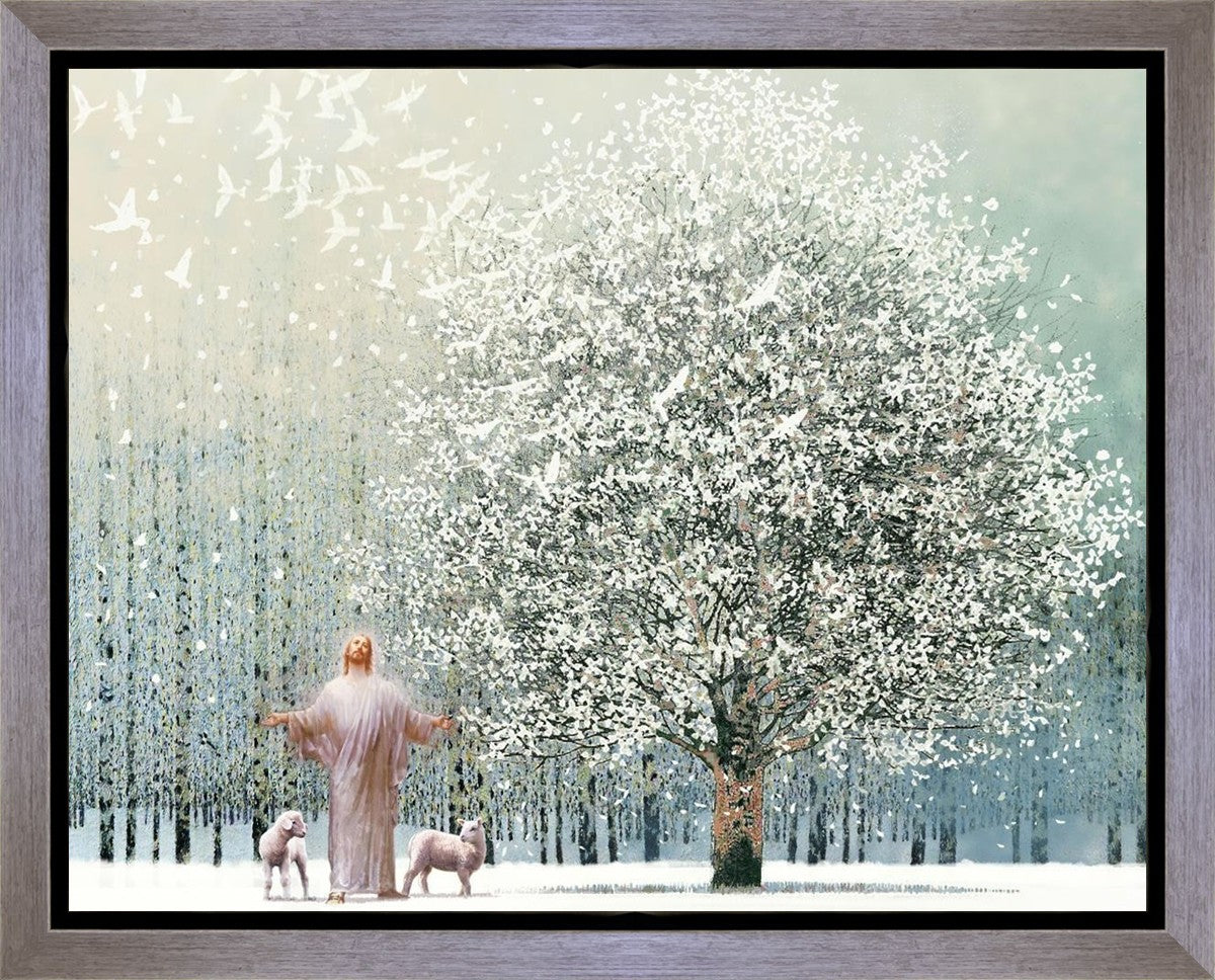 Solitude