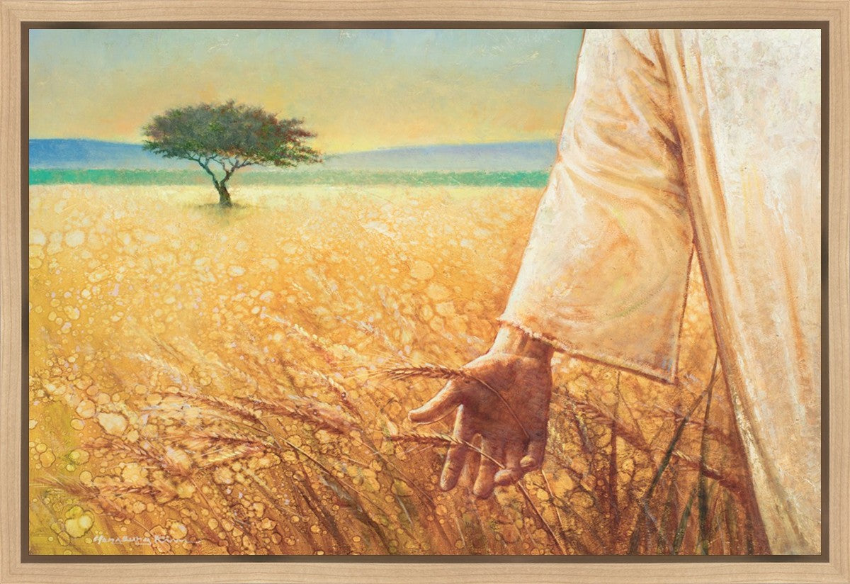 Wheat and Tares Gallery Wrap