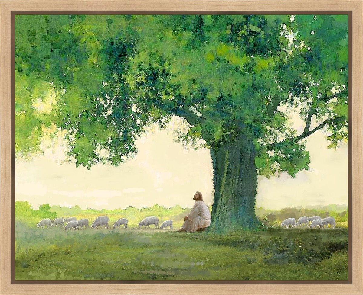 Morning Solace Gallery Wrap