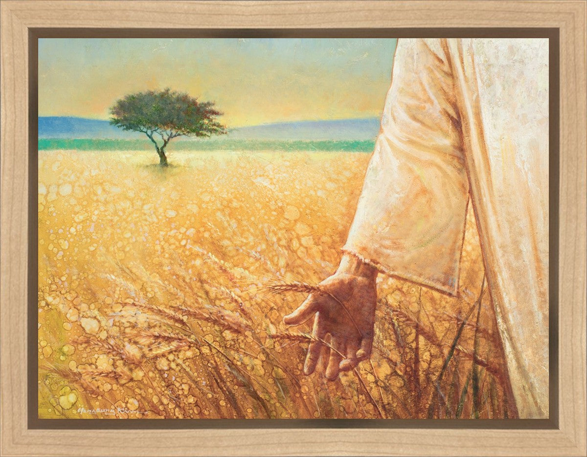 Wheat and Tares Gallery Wrap