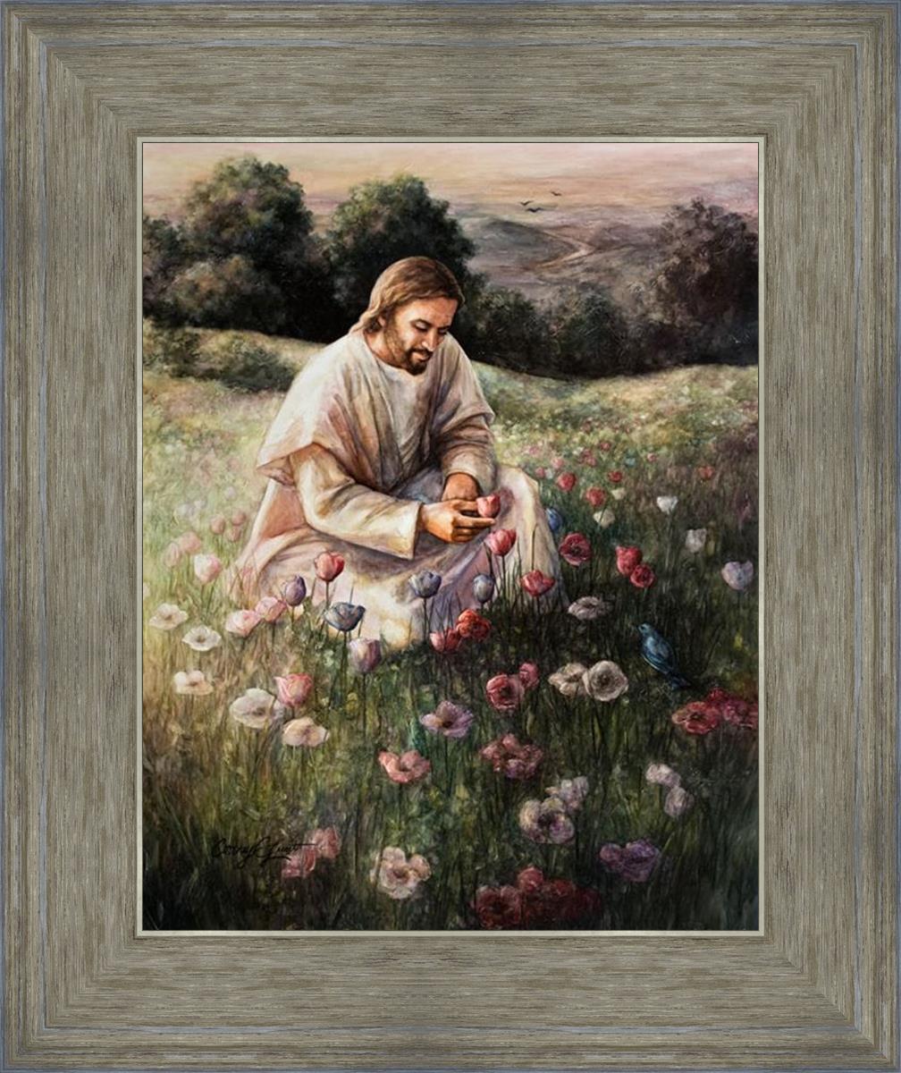 Lilies Of The Field