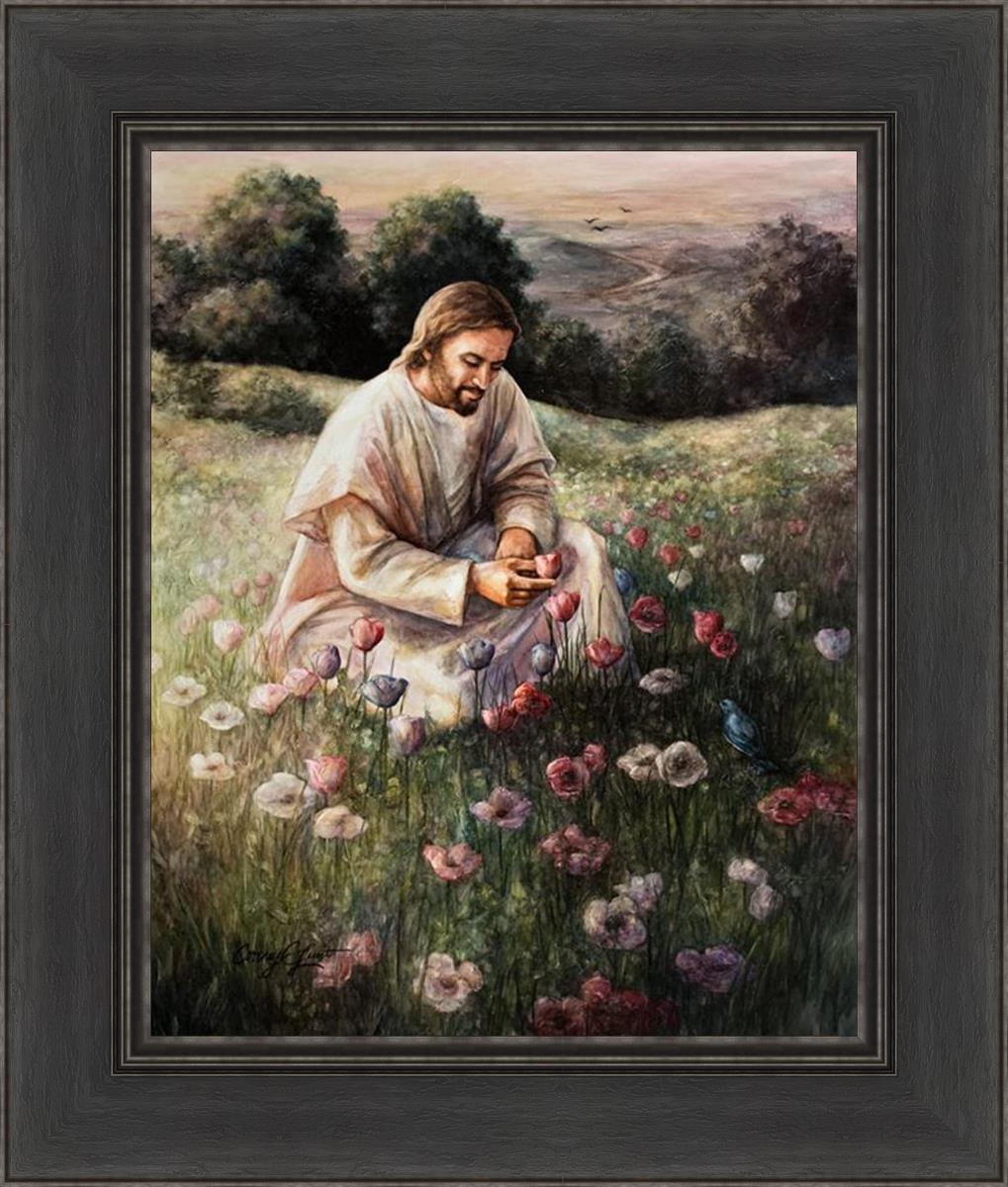 Lilies Of The Field