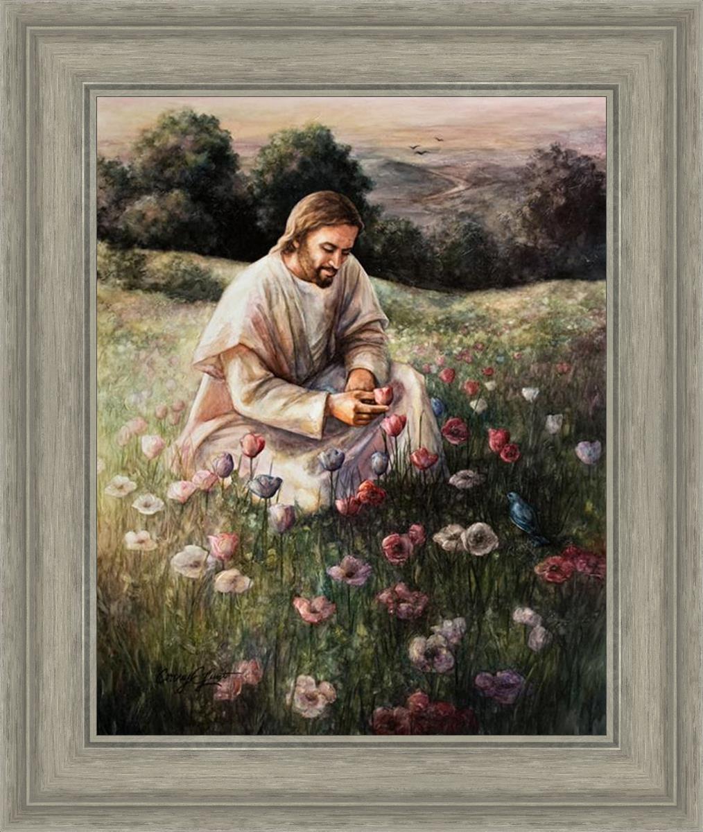 Lilies Of The Field