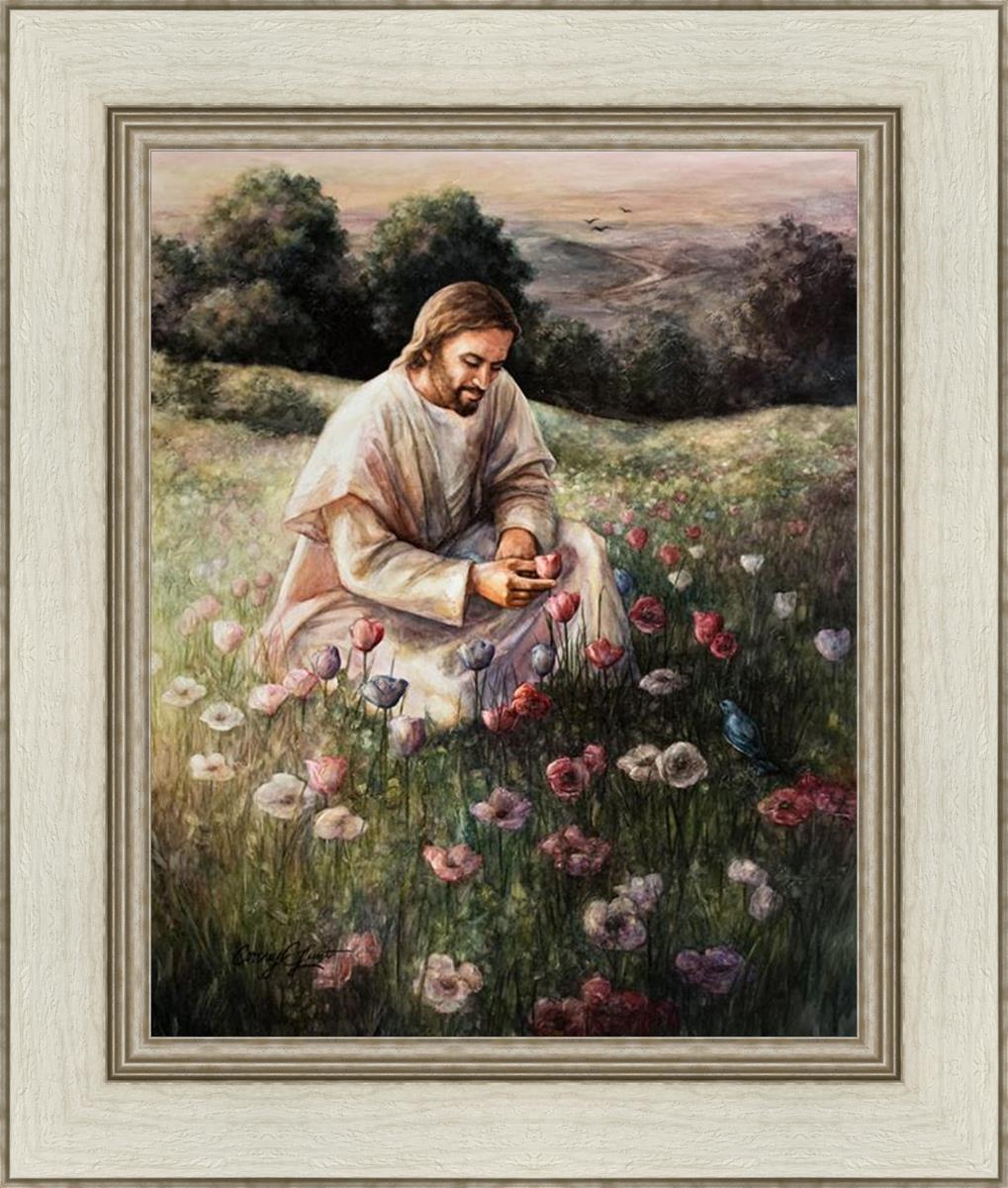 Lilies Of The Field