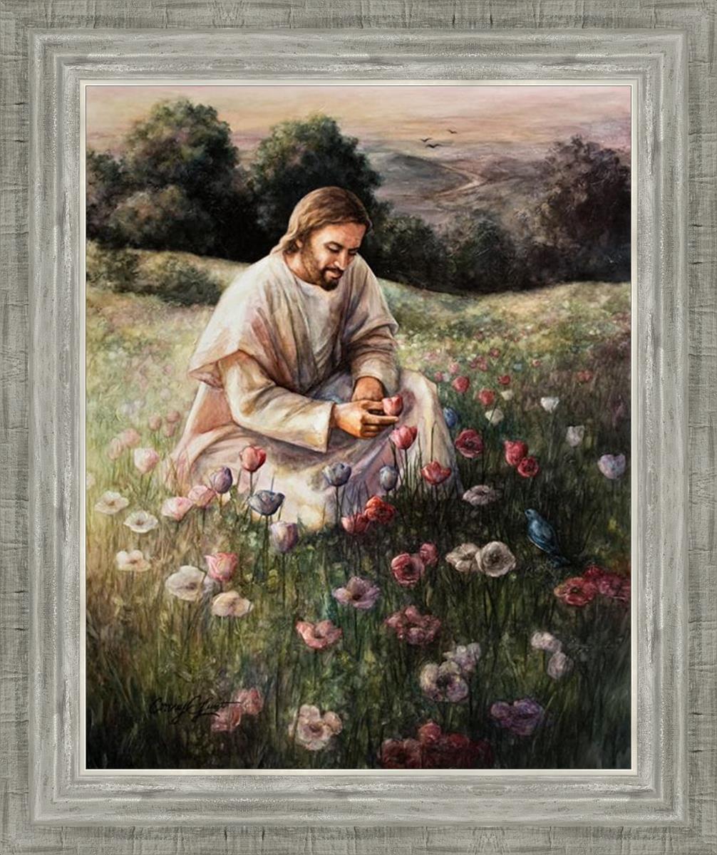 Lilies Of The Field