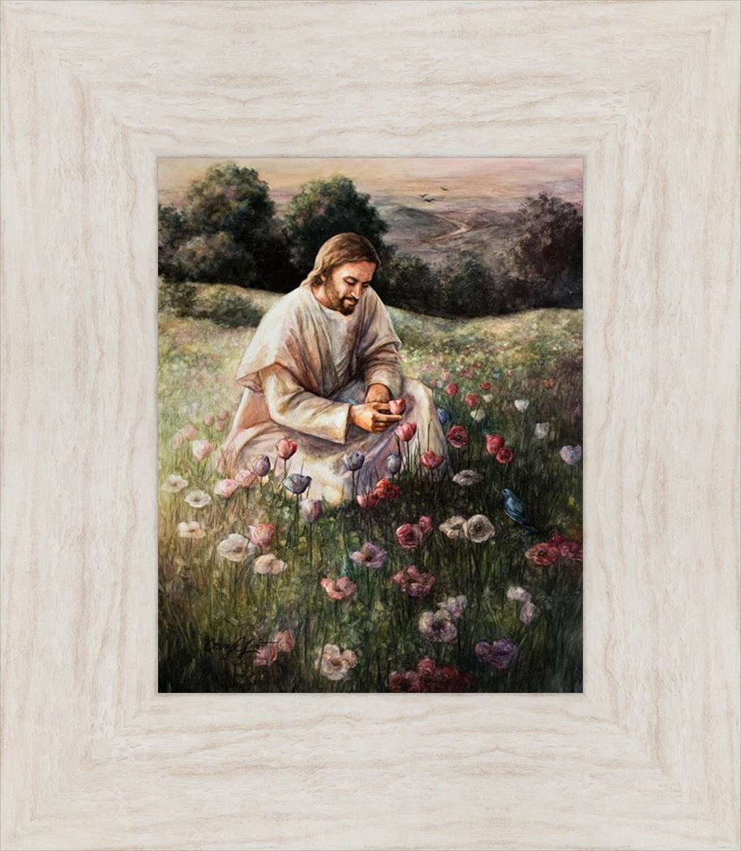 Lilies Of The Field