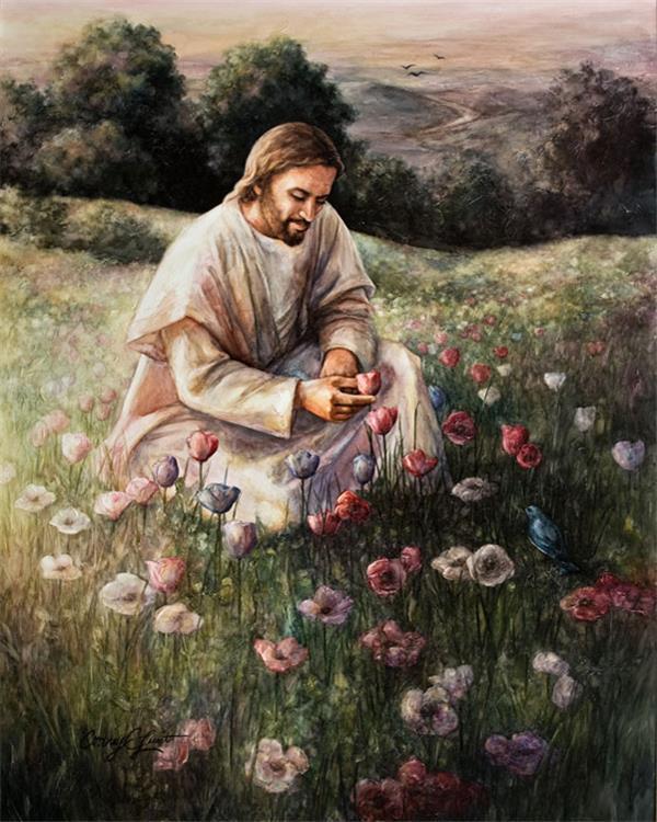 Lilies Of The Field