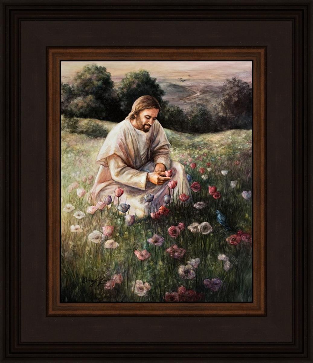 Lilies Of The Field