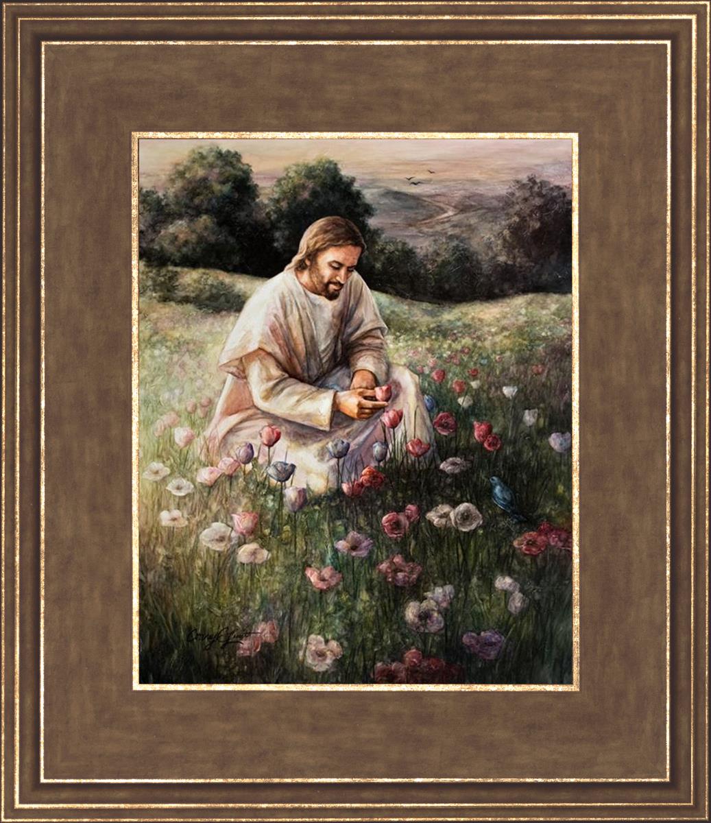 Lilies Of The Field