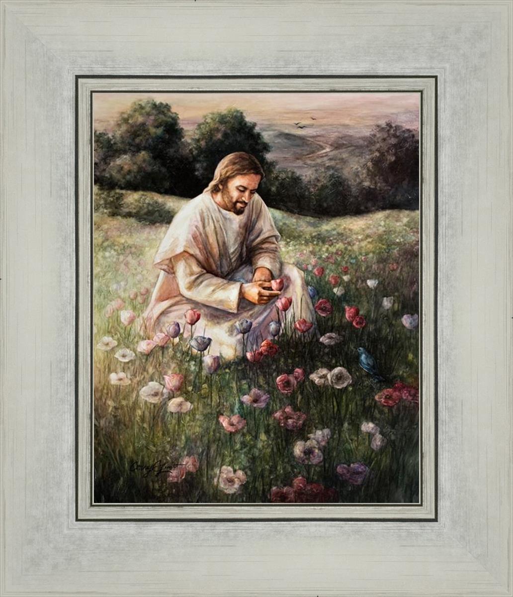 Lilies Of The Field