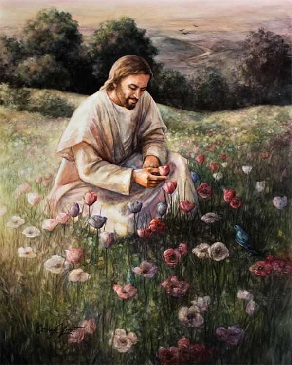 Lilies Of The Field
